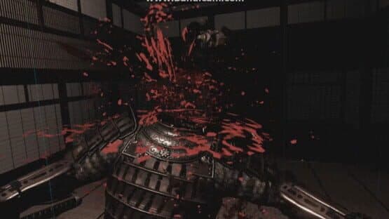 Death Dojo — screenshot 5
