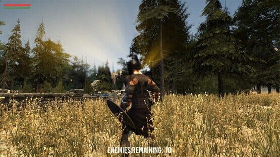 Barbarian Souls — screenshot 2