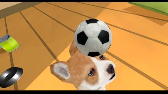 Puppy Doge VR — screenshot 5