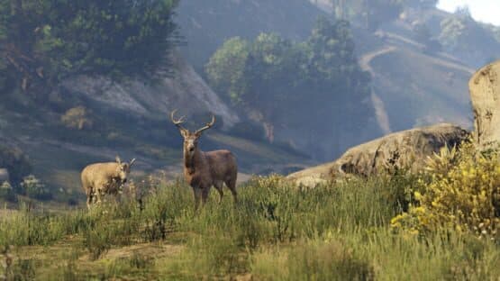 Grand Theft Auto V: Premium Online Edition & Whale Shark Card Bundle — screenshot 8