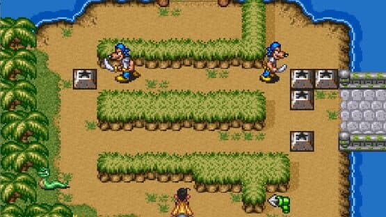 Disney's Goof Troop — screenshot 5