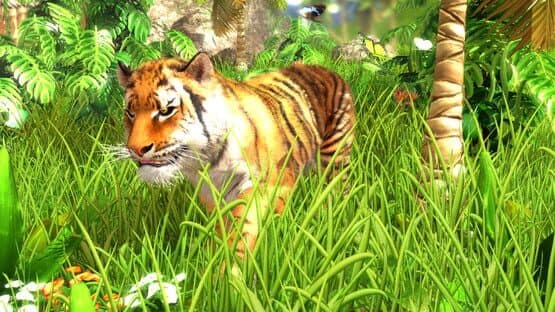 Wildlife Park 3 — screenshot 3