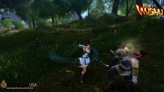 Age of Wushu — screenshot 4