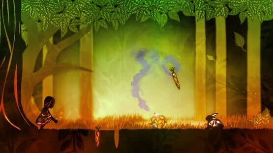 Amphora — screenshot 2