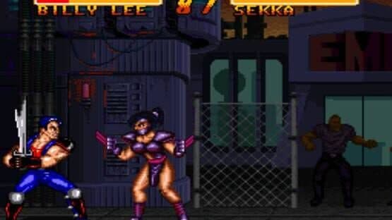Double Dragon V: The Shadow Falls — screenshot 2