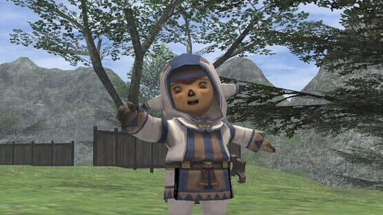 Final Fantasy XI Online — screenshot 3