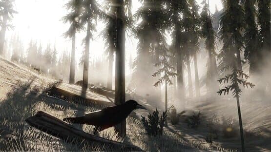 Totm — screenshot 2