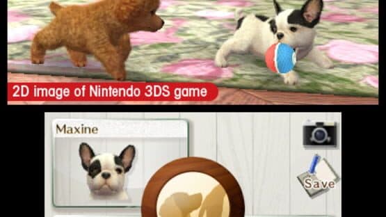 Nintendogs + Cats: French Bulldog & New Friends — screenshot 7
