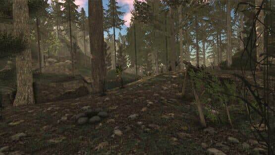 Lost Shipwreck — screenshot 1