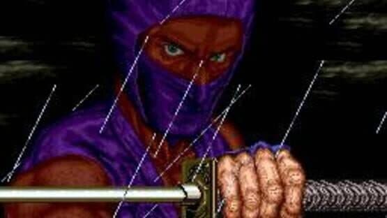 Ninja Gaiden — screenshot 7