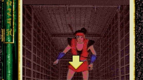 Revenge of the Ninja — screenshot 4