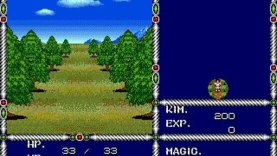 Sword of Vermilion — screenshot 5