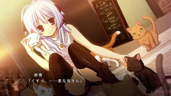 Fortissimo FA Intl. Ver — screenshot 3