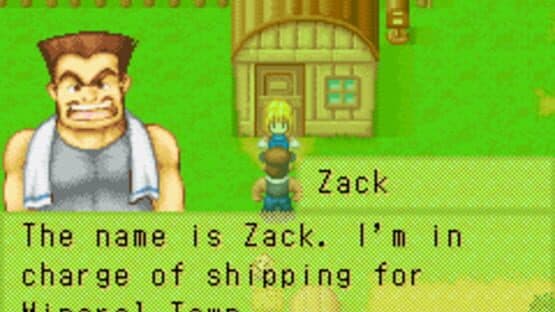 Harvest Moon: More Friends of Mineral Town — screenshot 5