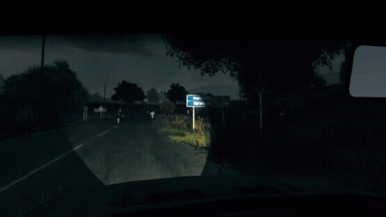Arma II: DayZ — screenshot 3