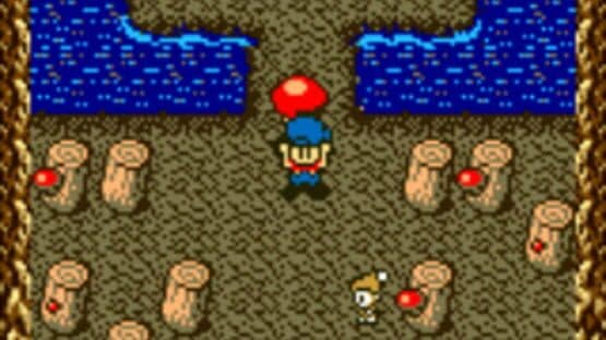 Harvest Moon GB — screenshot 5
