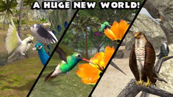 Ultimate Bird Simulator — screenshot 5