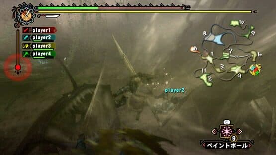 Monster Hunter Tri — screenshot 6