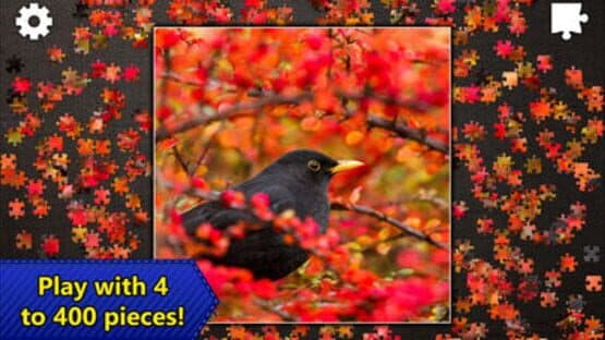 Jigsaw Puzzles Epic — screenshot 5