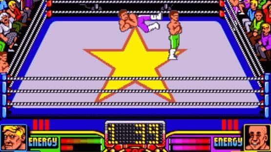 American Tag-Team Wrestling — screenshot 1