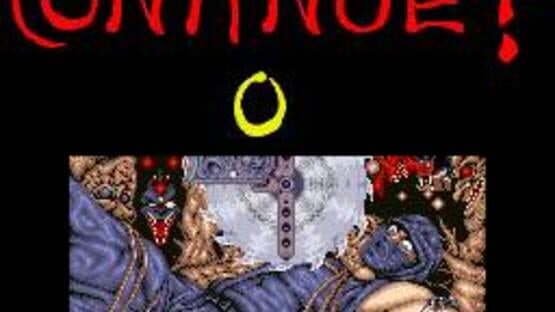 Ninja Gaiden — screenshot 1