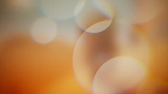 Morphe — screenshot 5