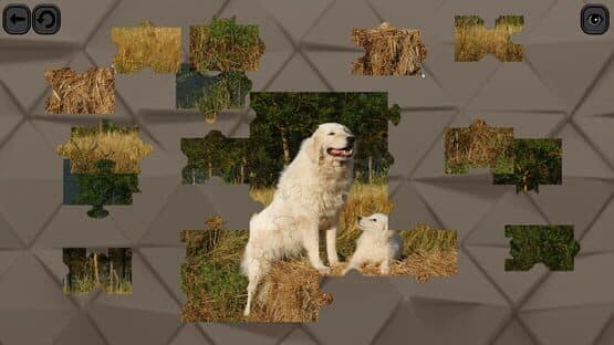 Puzzles for smart: Dogs — screenshot 3