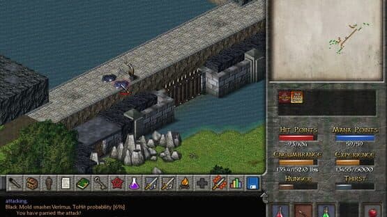 Eschalon: Book II — screenshot 5