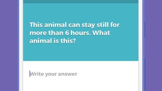 Foolio: Fool your friends — screenshot 2