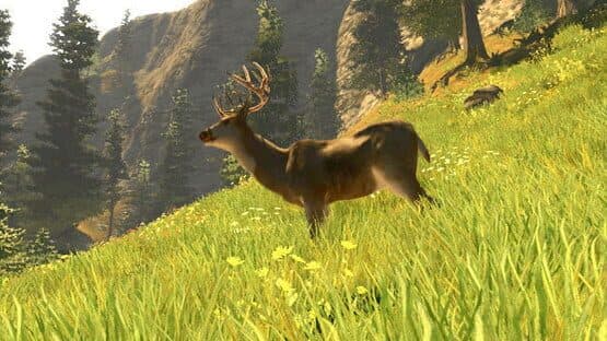 Cabela's Trophy Bucks — screenshot 2