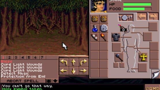 Eye of the Beholder III: Assault on Myth Drannor — screenshot 1