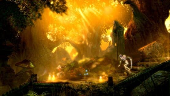 Trine Enchanted Edition — screenshot 6