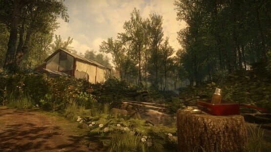 Everybody's Gone to the Rapture — screenshot 4