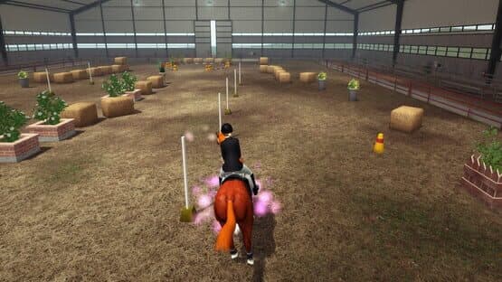 Riding Club Championships — screenshot 2