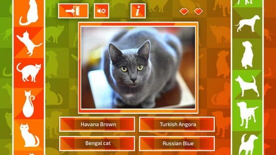 JQ: dogs & cats — screenshot 5