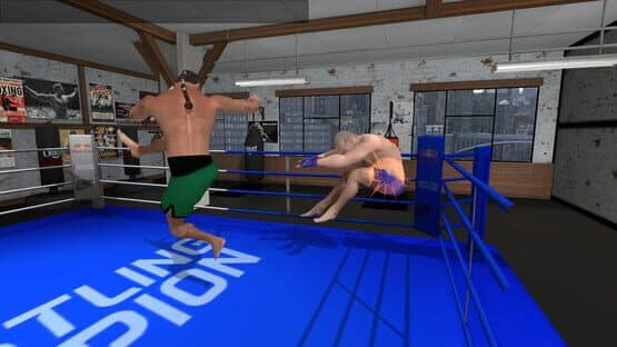 Wrestlers Without Boundaries — screenshot 6