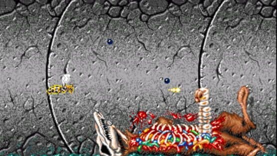 Apidya — screenshot 1
