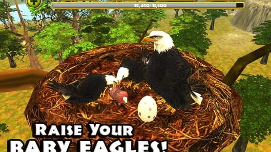 Eagle Simulator — screenshot 2