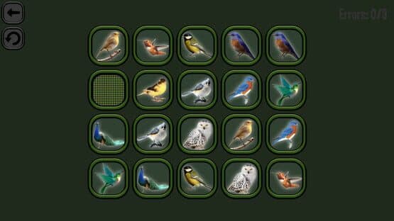 Animals Memory: Birds — screenshot 1