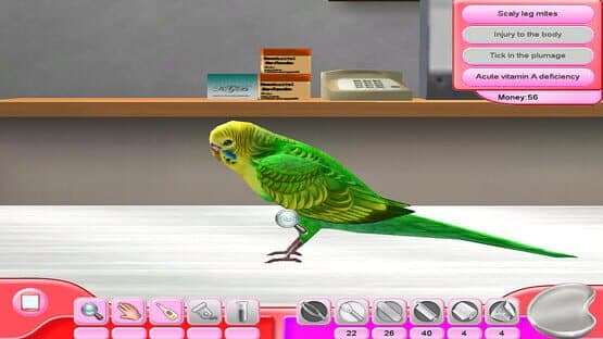 My Vet Practice: In the Country — screenshot 4