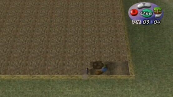 Harvest Moon: A Wonderful Life — screenshot 3