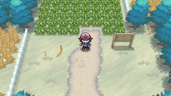 Pokémon Black Version — screenshot 4