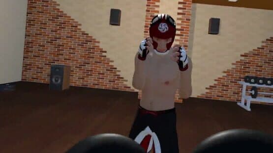 Fight Sparring VR — screenshot 4