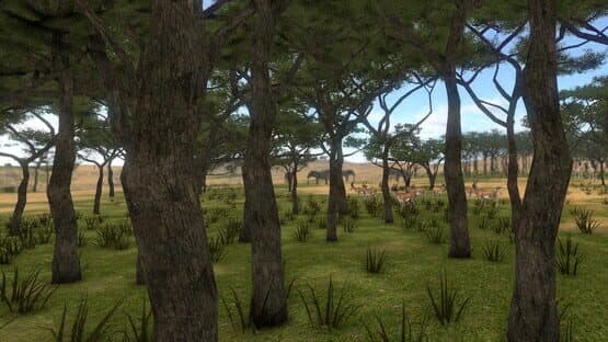 Savanna Shot VR — screenshot 3