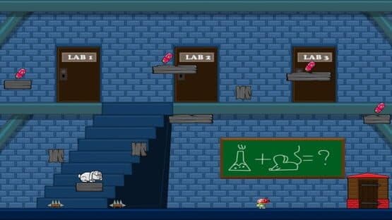 Guinea-Pig — screenshot 2