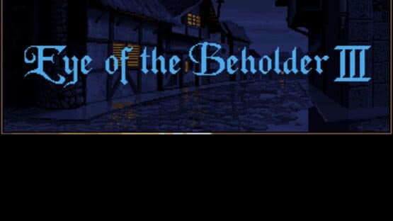Eye of the Beholder III: Assault on Myth Drannor — screenshot 3