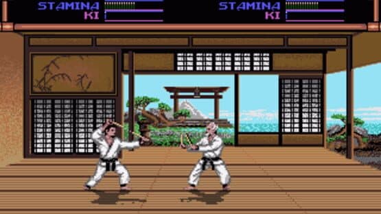 Budokan: The Martial Spirit — screenshot 1