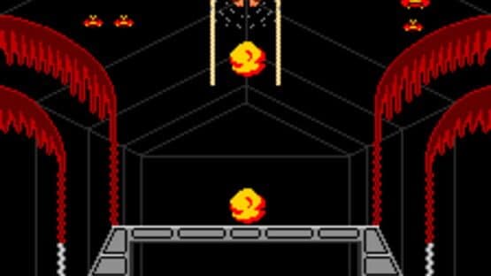 Donkey Kong 3 — screenshot 2