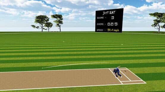 Just Bat: VR Cricket — screenshot 1