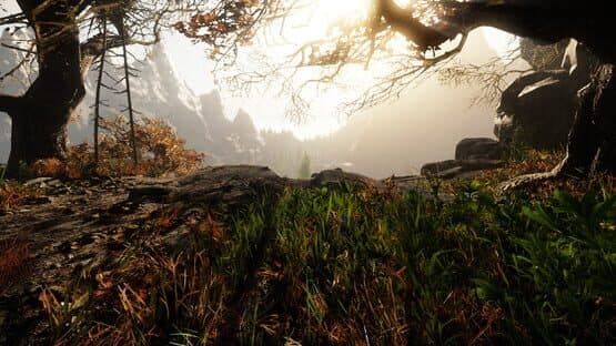 The Land of Pain — screenshot 1